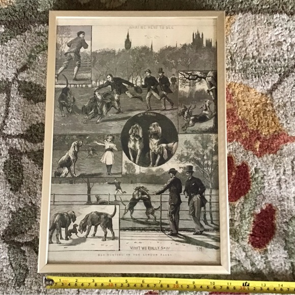 Vintage Bloodhound Dog magazine Illustration Print in metal frame - Picture 2 of 5